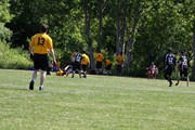 OTFL Gallery Image